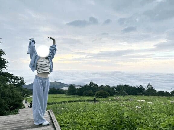 まだ写真がないので...
