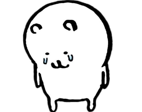 ごめんなさい😿