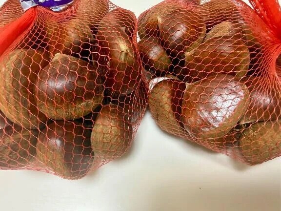 🌰