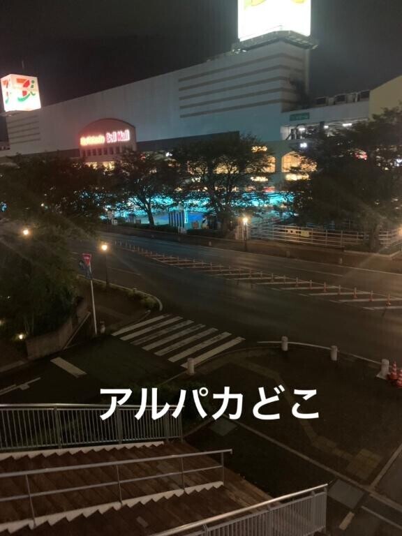 起きたよ?