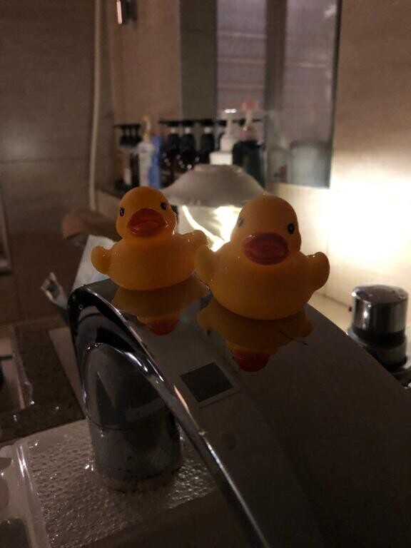 餅屋?