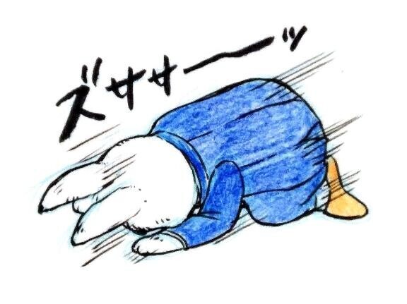 ｺﾞﾒﾝﾅｻｲ