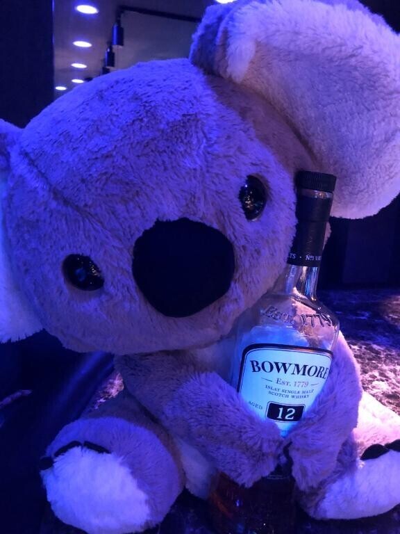 微妙な立ち位置