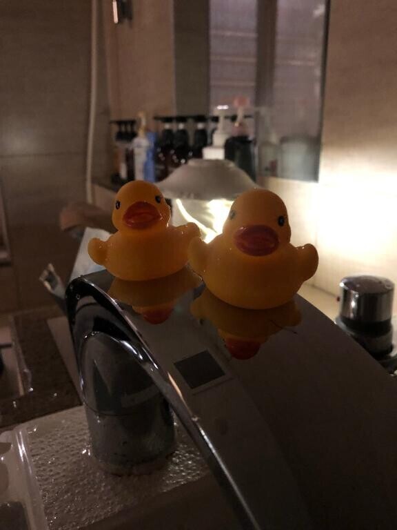 あの電気欲しい←