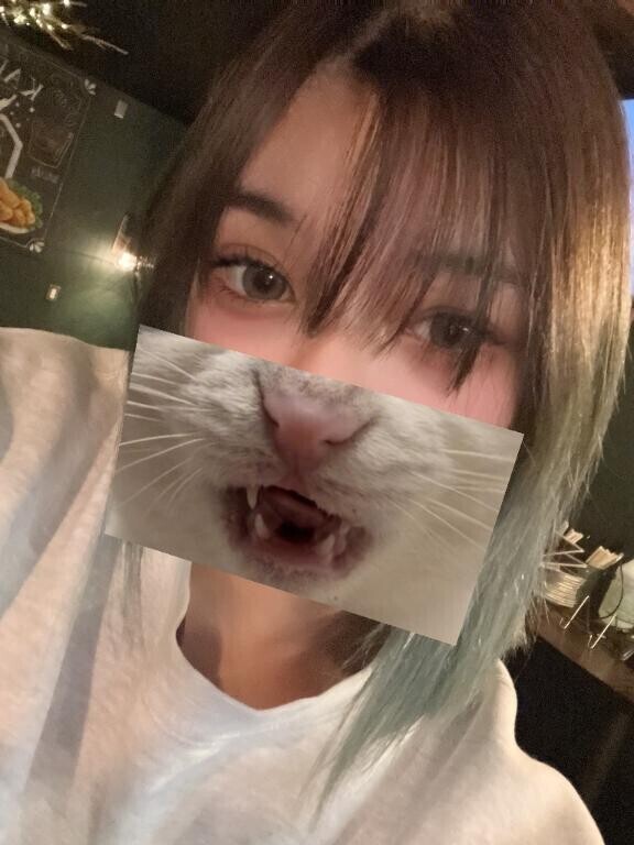 ´｡･･｡)ﾉ?｡.