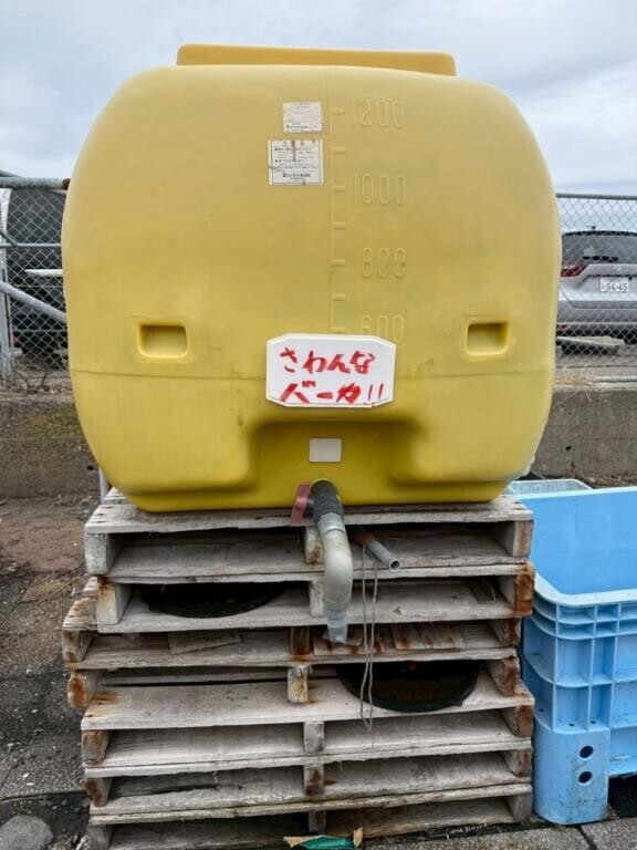 春どこに行った??