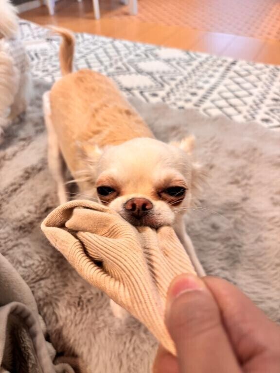 15日10時～初出勤???