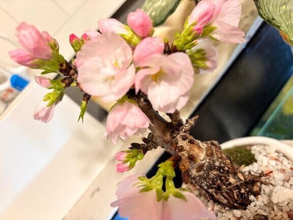 明日の初出勤の為…