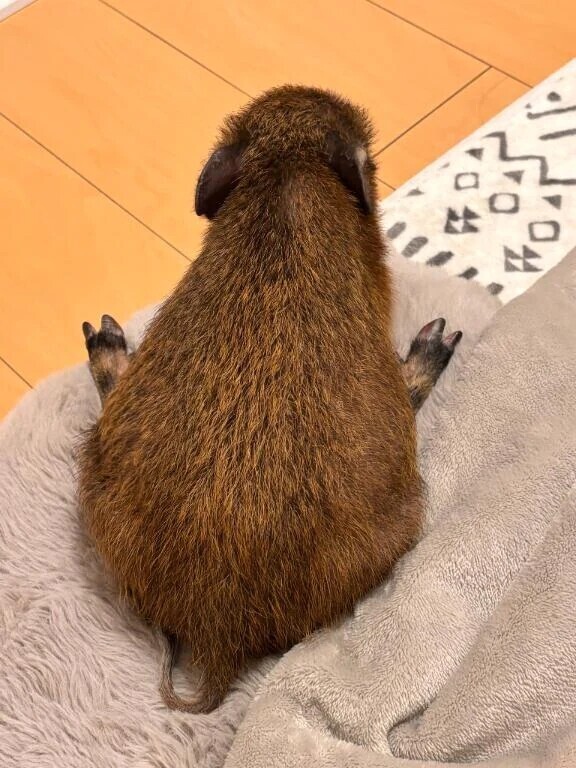 【お礼写メ日記】感謝の気持ち