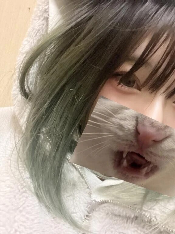 わぁーわぁー😱😱