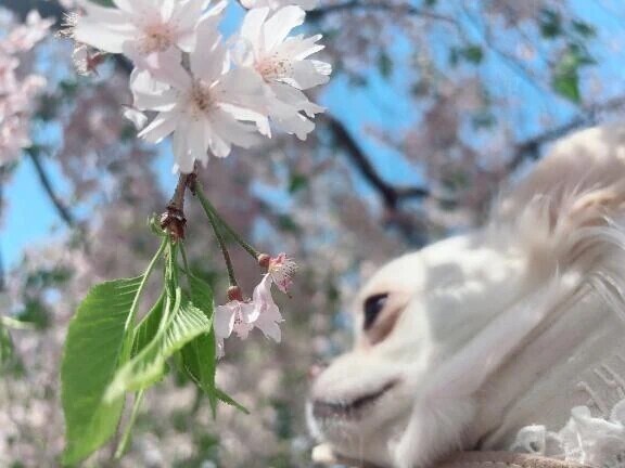 調子が良くなってきた