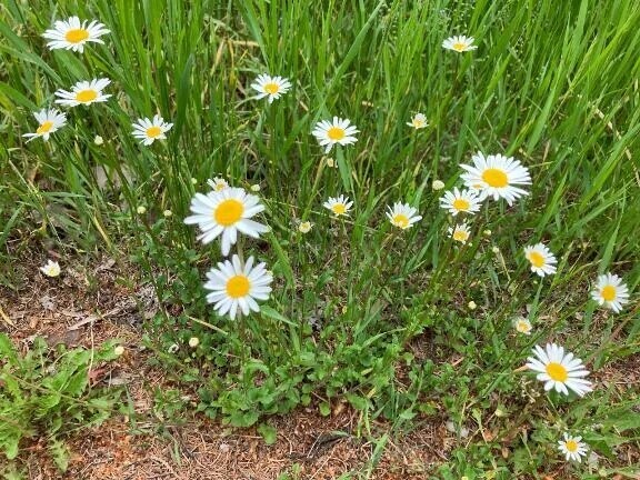 4月もよろしくお願いします🌸