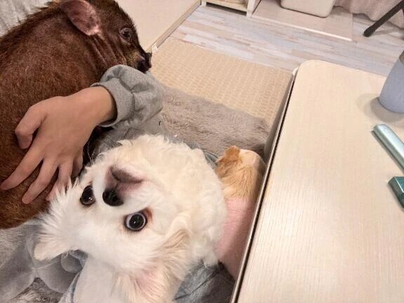 【お礼写メ日記】気持ち😌