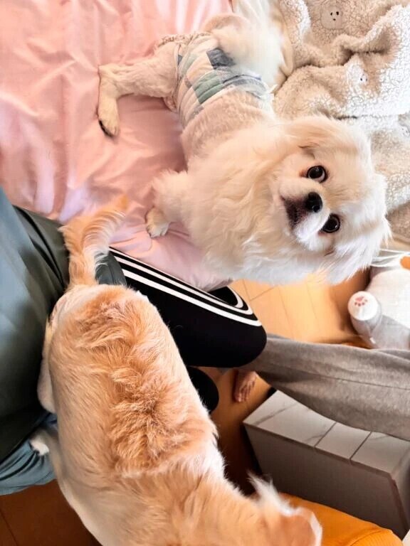 本日😌