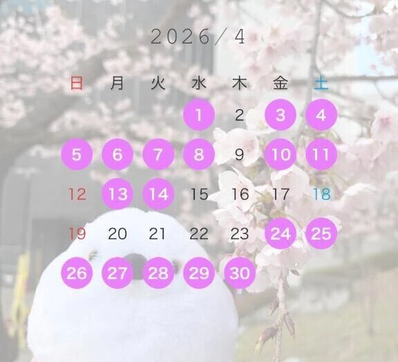 14日まで🍓