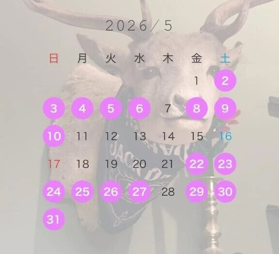 あと2日🧚‍♀️