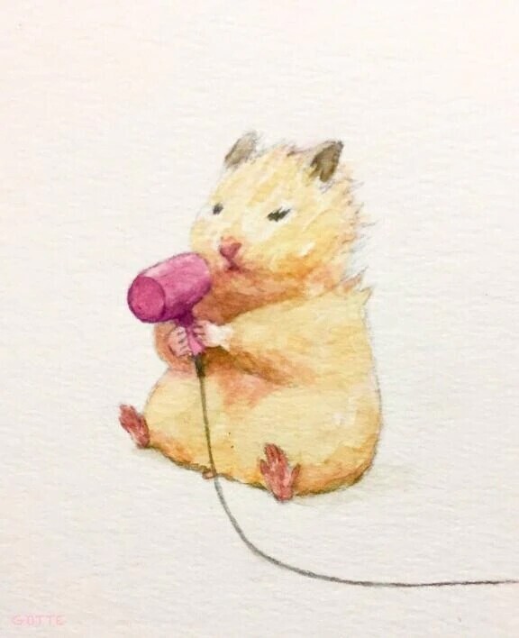 おはよう☺️