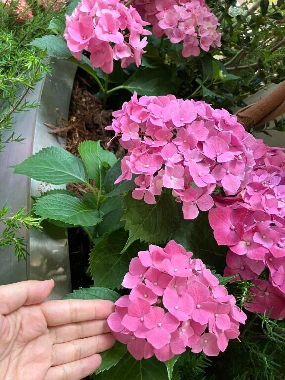 6月も宜しくお願いします💕