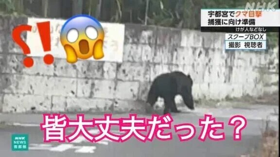 😱熊⁉️⁉️⁉️
