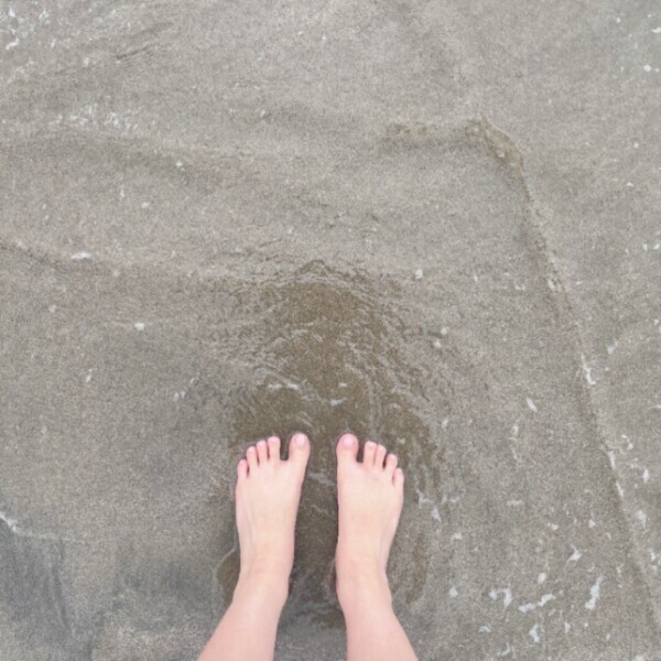 【海🐬】