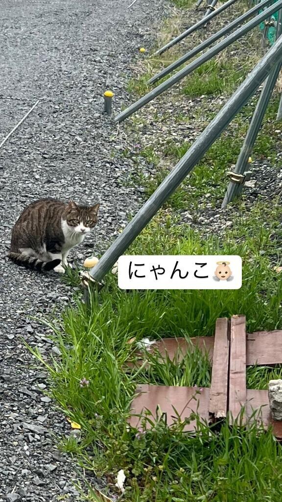 [お題]from:ホワイトニングしたいさん
