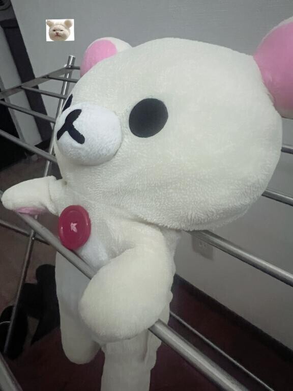 宝物???