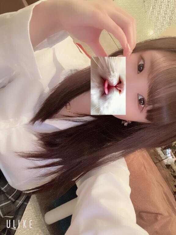 あいしてるにゃ??