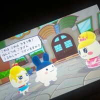 にじか
