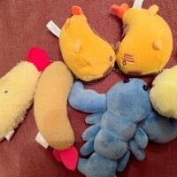 にじか