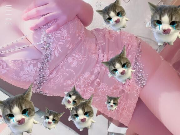 朝からいます！！！！！