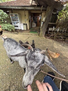 まんまと騙されてますね