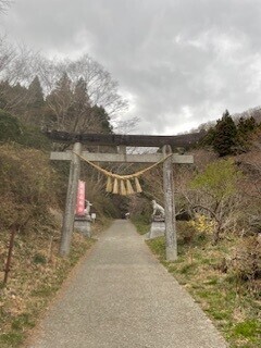 実は…