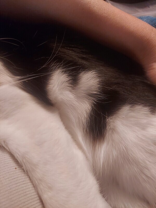 明日の予定(о´∀`о)