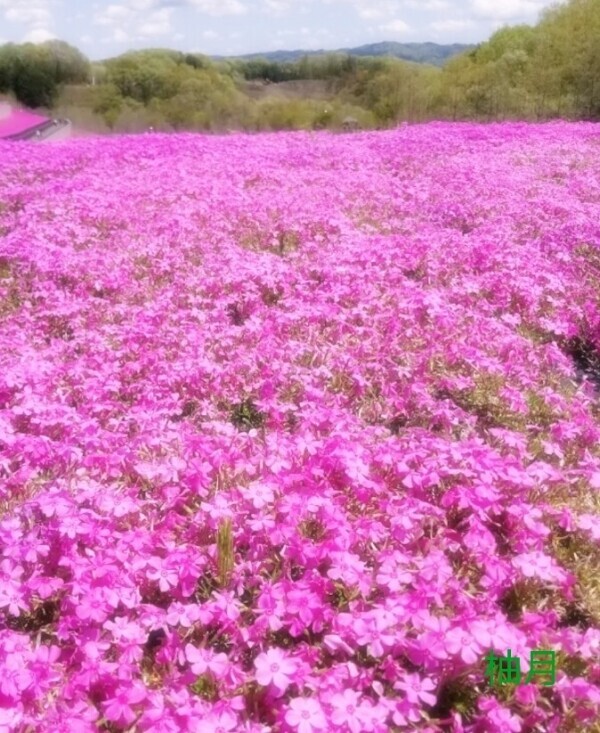お誘い待ってます(  ´͈ ᵕ `͈ )♡