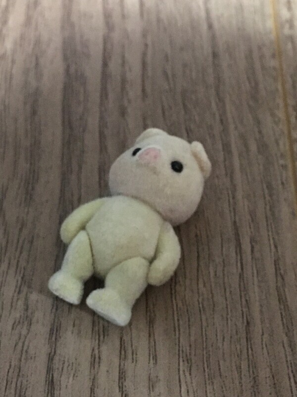 求人情報