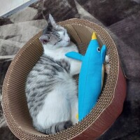 持田（ﾓﾁﾀﾞ）