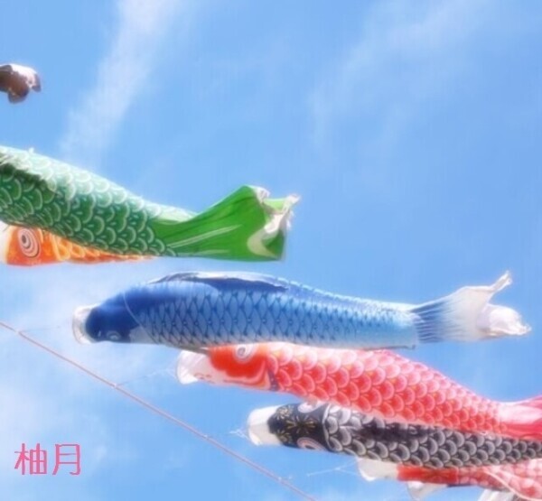 ＧＷ૮ .  ̫ .აꯁꯧ