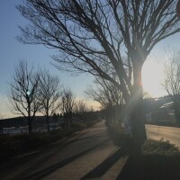 麻宮(ｱｻﾐﾔ)