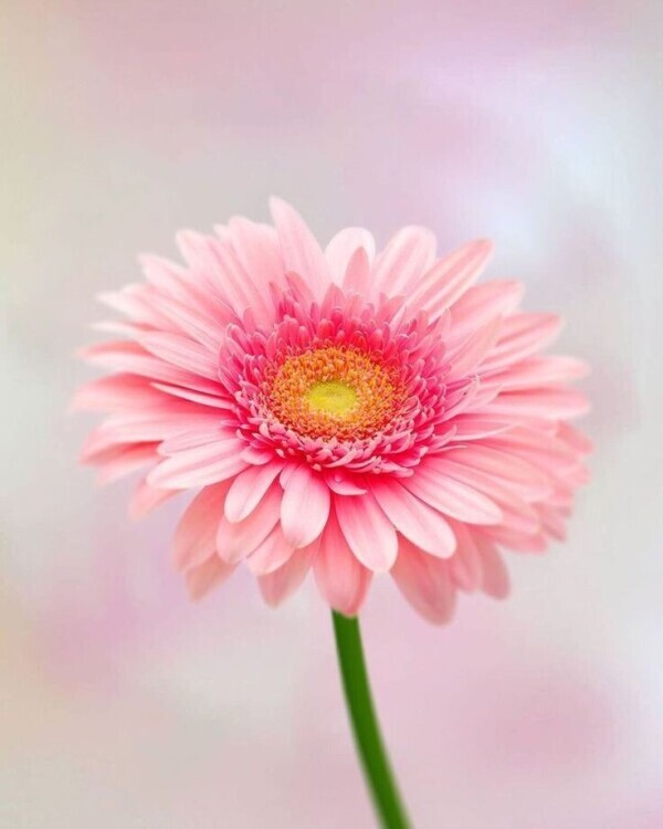 おはようございます❣️