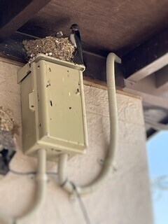 週末から！