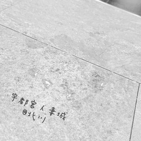 29日(木)thxᕱ⑅︎ᕱ