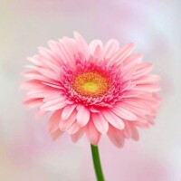 持田（ﾓﾁﾀﾞ）
