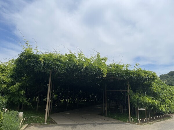 明日から連勤予定✨