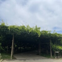 相馬（ｿｳﾏ）