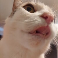 持田（ﾓﾁﾀﾞ）