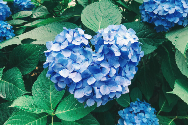 出勤します🌻11:00〜17:00上
