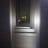 持田（ﾓﾁﾀﾞ）