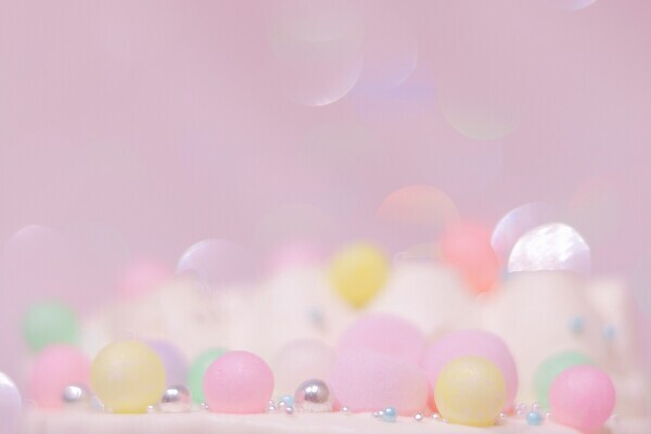 こんにちは🌼