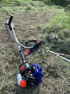 10日から