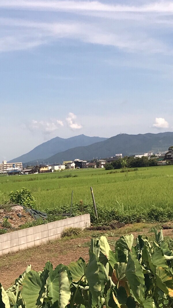 ありがとうございました❤️❤️
